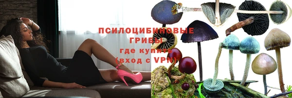 мяу мяу мука Алексеевка
