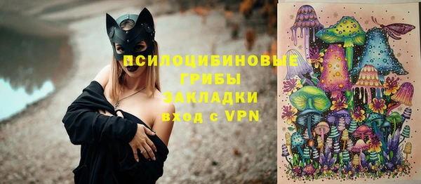 дмт Алексин